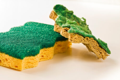Dirtiest Things In Your Home | Cleaning Companies Pawleys Island