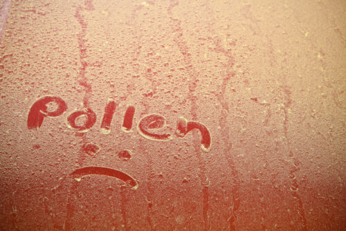 Pollen Season Myrtle Beach
