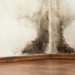 Prevent mold Growth After Flooding | Cleaning Surfside