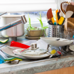 Cleaning to Prevent Pests in Your Home The Clean Up Club Myrtle Beach SC