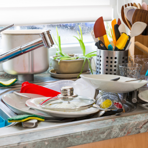 Cleaning to Prevent Pests in Your Home The Clean Up Club Myrtle Beach SC