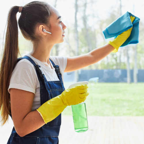 The Clean Up Club Southern Sunshine Window Cleaning Tips and Tricks for a Brighter View